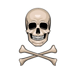 skull with crossbones, vector illustration