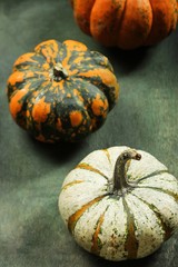 Different colors of Mini Pumpkins / Fall autumn background