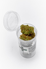 Close up of medical marijuana sativa strain Sour Diesel on white background