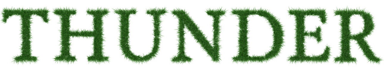Thunder - 3D rendering fresh Grass letters isolated on whhite background.