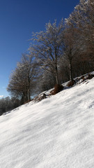 Fototapeta premium Inverno in montagna, neve e ghiaccio nel bosco