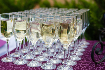 Rows of empty glasses of wine from an angle