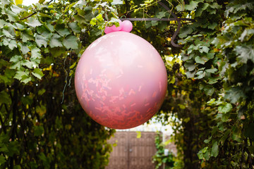 round pink piñata in the garden