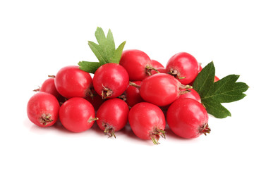 Hawthorn berry with leaf isolated on white background close-up