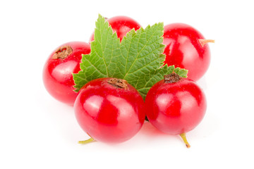 Red currant berries with leaf isolated on white background