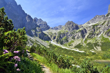 Fototapeta na wymiar Tatra Mountains. Slovakia