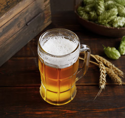 Still life with a glass of beer and hop.
