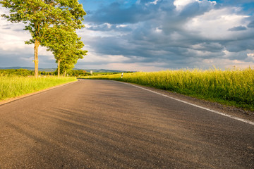 Rural road between fields in warm sunshine under dramatic sky
