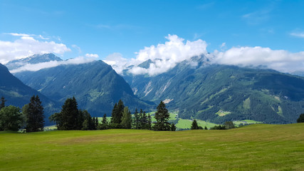 Fototapeta na wymiar Austrian nature, field, trees and mountains