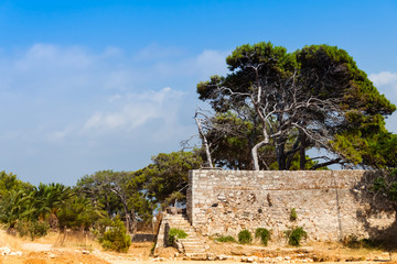 Obraz premium Walls of the Venetian Fortress (Fortezza) of Rethymno with tall trees against the blue sky. Rethymno, Crete, Greece