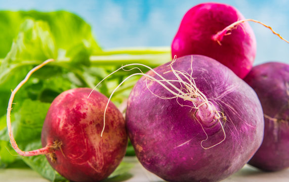 Close Up of Purple and Red Radishes
