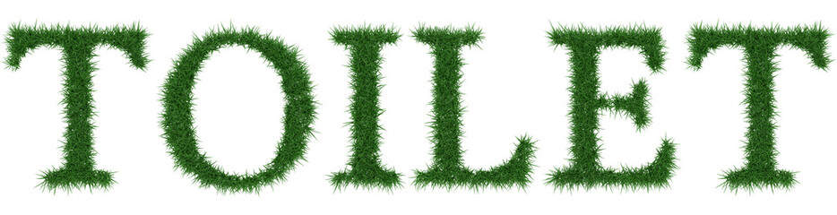 Toilet - 3D rendering fresh Grass letters isolated on whhite background.