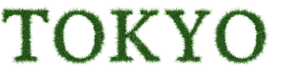 Tokyo - 3D rendering fresh Grass letters isolated on whhite background.