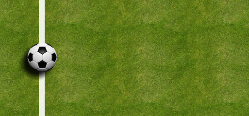 Soccer ball on field grass background. 3d illustration © viperagp