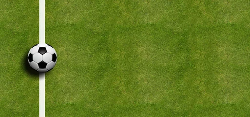 Soccer ball on field grass background. 3d illustration © viperagp