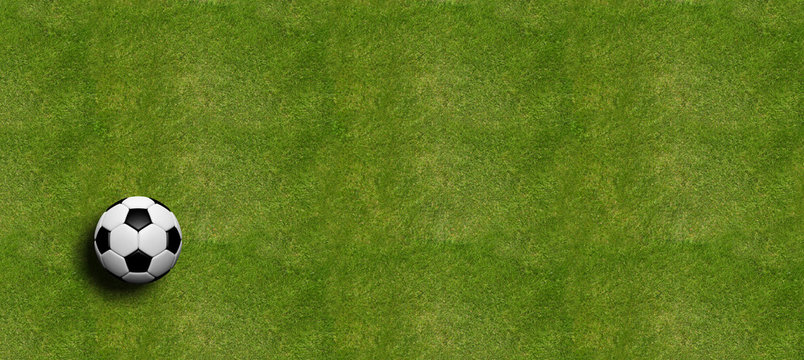 Soccer ball on field grass background. 3d illustration