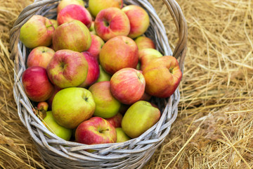 fresh apples laying in the basket on hew