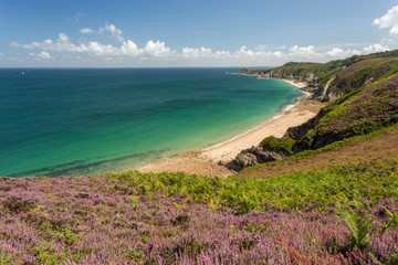 Foug&egrave;re, c&ocirc;te et landes au cap Fr&eacute;hel