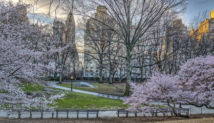 Central Park, New York City spring