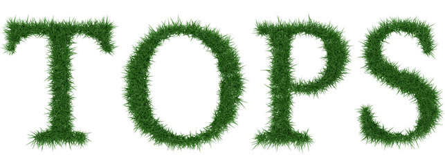 Tops - 3D rendering fresh Grass letters isolated on whhite background.