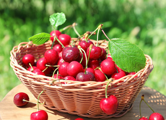 Fototapeta na wymiar Wicker basket with tasty ripe cherries on table outdoors