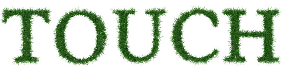 Touch - 3D rendering fresh Grass letters isolated on whhite background.