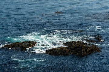 Beautiful waves at sea shore at Carmel
