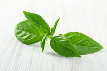 Green fresh organic basil leaves on wooden background
