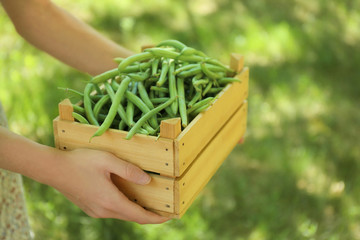 Woman holding wooden crate with raw fresh organic green beans outdoors - Powered by Adobe