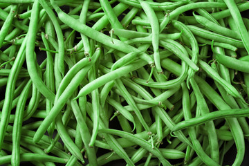 Raw fresh organic green beans, close up