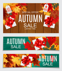 Abstract Vector Illustration Autumn Sale Background with Falling