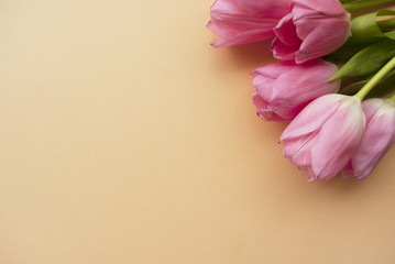 Bouquet of pink tulips on a peach background with the place for your text. Minimal composition. Flat lay