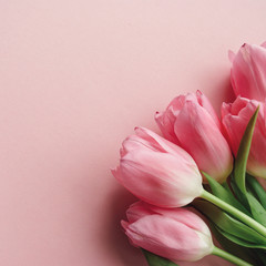 Beautiful bouquet of pink tulips on a pink pastel background with copy space