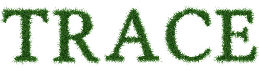 Trace - 3D rendering fresh Grass letters isolated on whhite background.