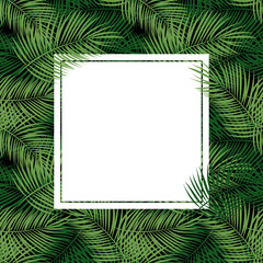 Fototapeta na wymiar Palm Leaf Vector Background with White Frame Illustration