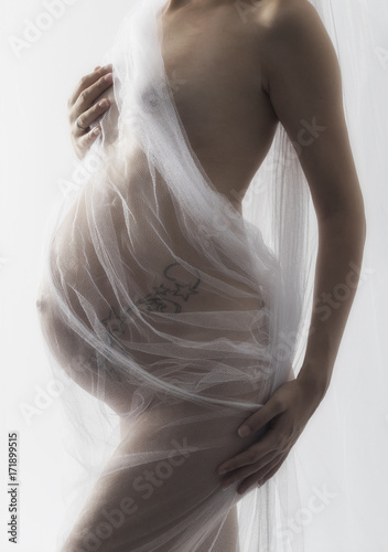 Mujer desnuda embarazada galleries 51