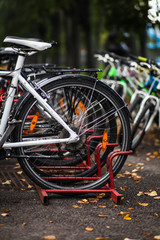 Fototapeta na wymiar прокат велосипедов в осеннем парке