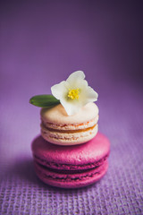 French macarons with white flowers
