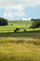 Fototapeta na wymiar Looking up a hill towards a medieval monument on a beautiful sunny day at bradgate park, leicester, england
