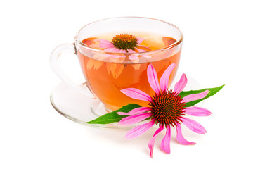 Echinacea tea isolated on white background. Medicinal tea