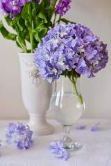 Still-Life with Hortensia Flowers in glass vase
