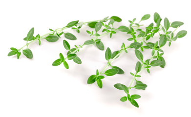 Fresh thyme spice isolated on white background
