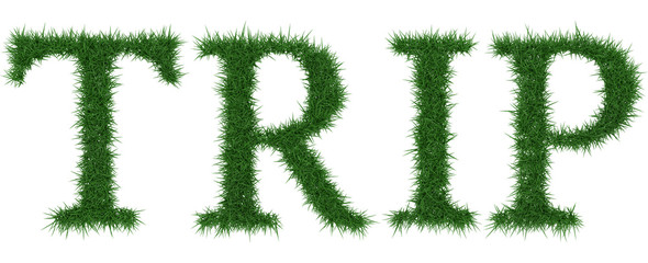 Trip - 3D rendering fresh Grass letters isolated on whhite background.