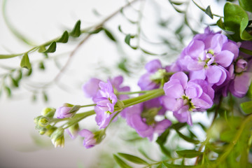 floral composition. wedding decorations