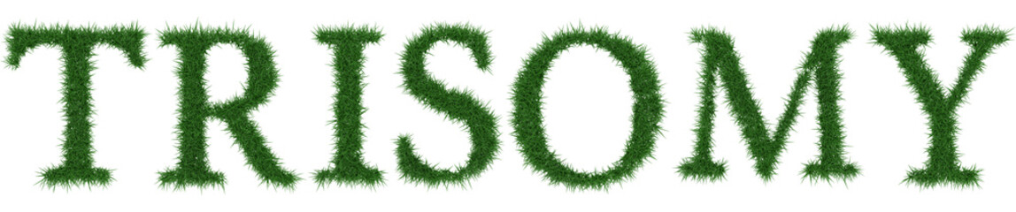 Trisomy - 3D rendering fresh Grass letters isolated on whhite background.