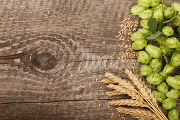 Frame of hop cones with ears of wheat on old wooden background. Top view with copy space for your...
