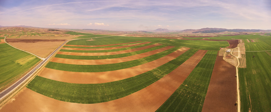 Wheat fields of Ovce valley in Macedonia. Drone photography.