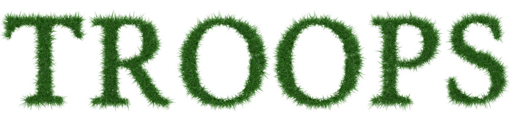 Troops - 3D rendering fresh Grass letters isolated on whhite background.
