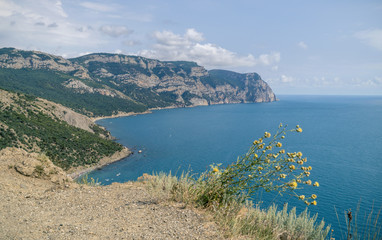 Herb on Crimean Mountains and Black Sea