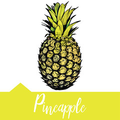 Vector illustration of pineapple in hand drawn graphics. The fruit is depicted on a yellow watercolor background. Design for packaging juice or dessert